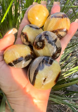 Load image into Gallery viewer, Septarian Palm Stones