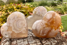 Load image into Gallery viewer, Flower Agate Hearts ~ From $ 12 ~