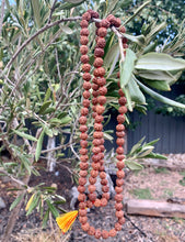 Load image into Gallery viewer, Rudraksha 5 Mukhi Mala