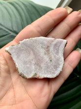 Load image into Gallery viewer, Pink Amethyst Raw Cluster