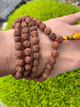 Load image into Gallery viewer, Rudraksha 5 Mukhi Mala