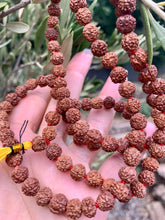 Load image into Gallery viewer, Rudraksha 5 Mukhi Mala