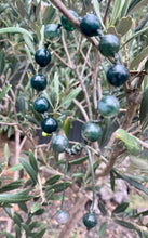 Load image into Gallery viewer, Moss Agate String Bracelet