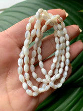Load image into Gallery viewer, Trochus Shell Rice Bead Bracelet.