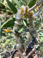 Load image into Gallery viewer, Labradorite Chunky Bracelet.