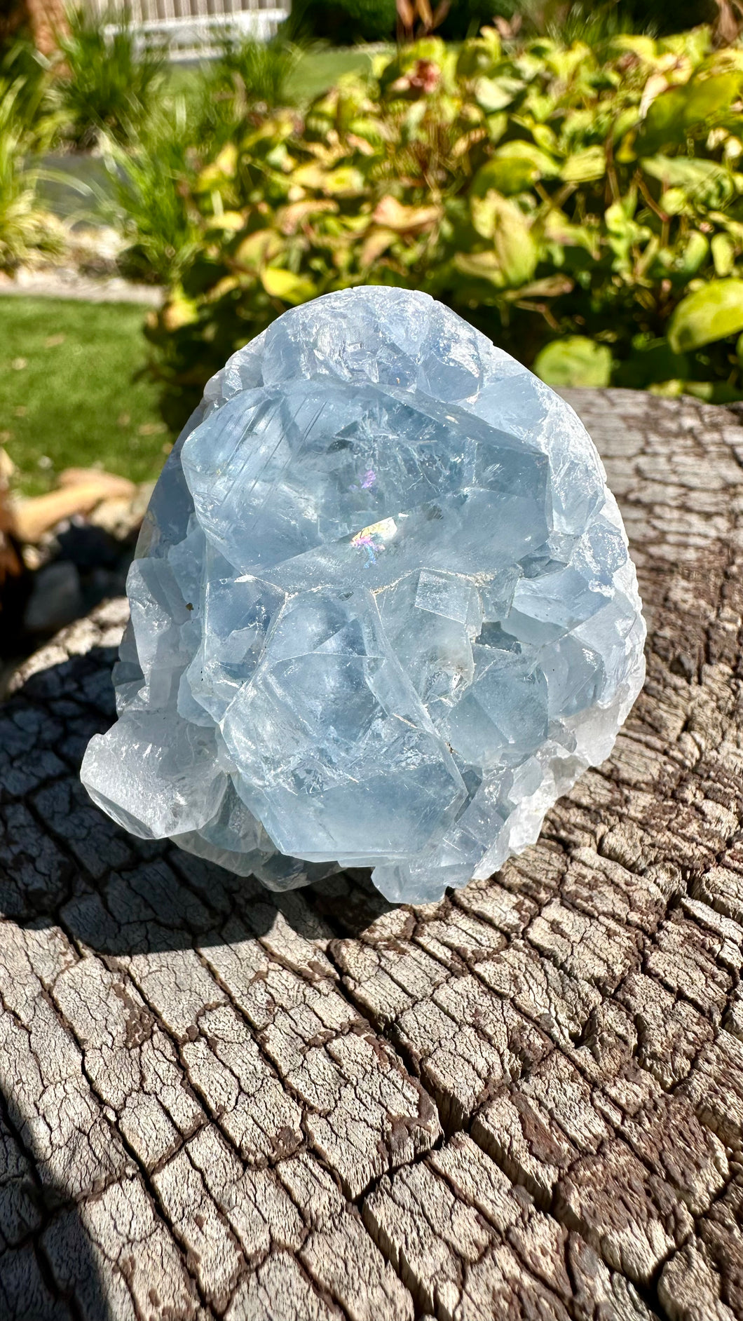 Blue Celestite Egg