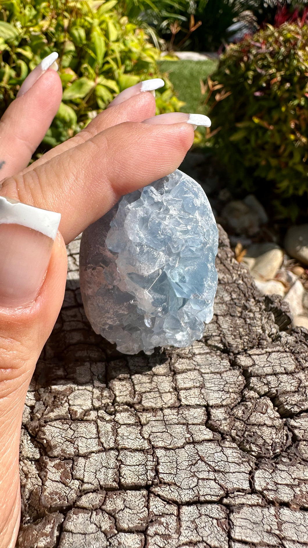 Blue Celestite Egg