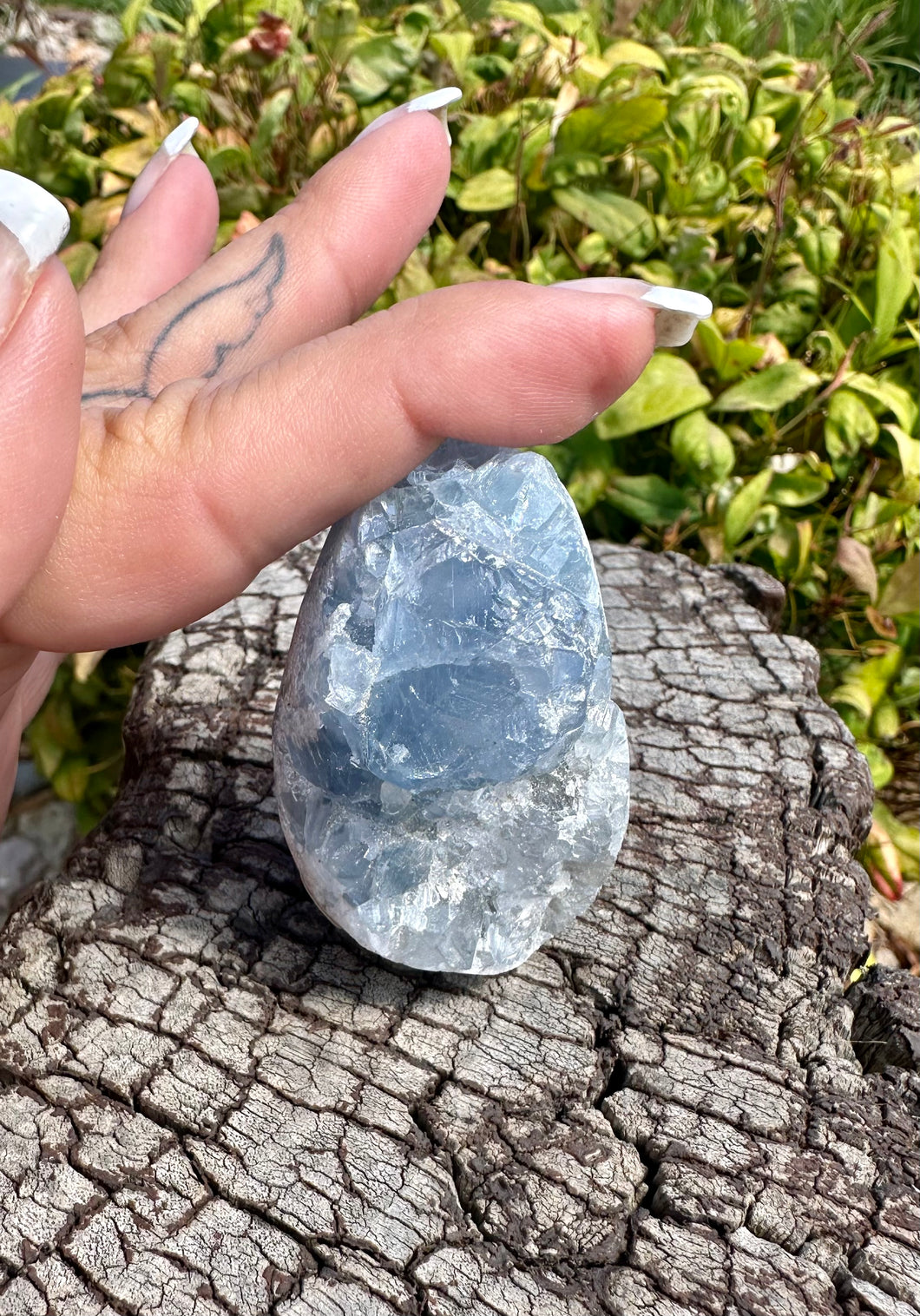 Blue Celestite Egg