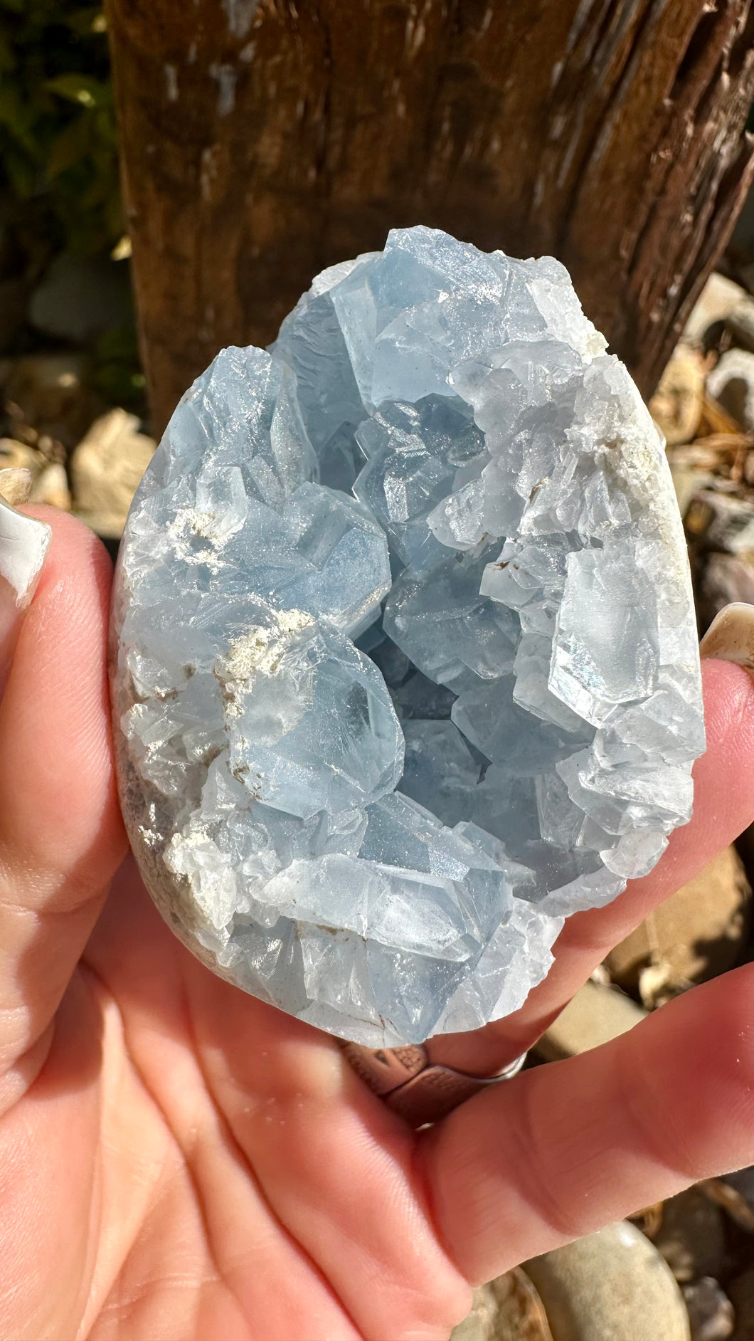 Blue Celestite Egg