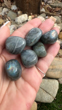 Load image into Gallery viewer, Labradorite Tumbles
