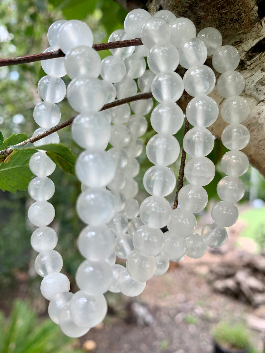 Selenite Bracelet.