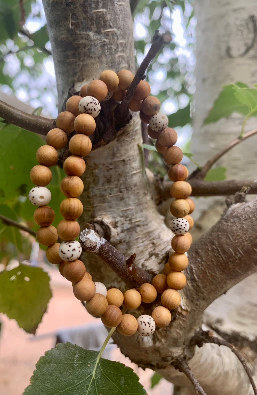 Sandalwood Beads with Lotus seed Bracelet.