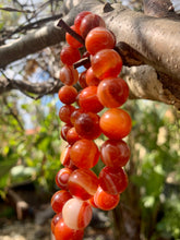 Load image into Gallery viewer, Carnelian Bracelet
