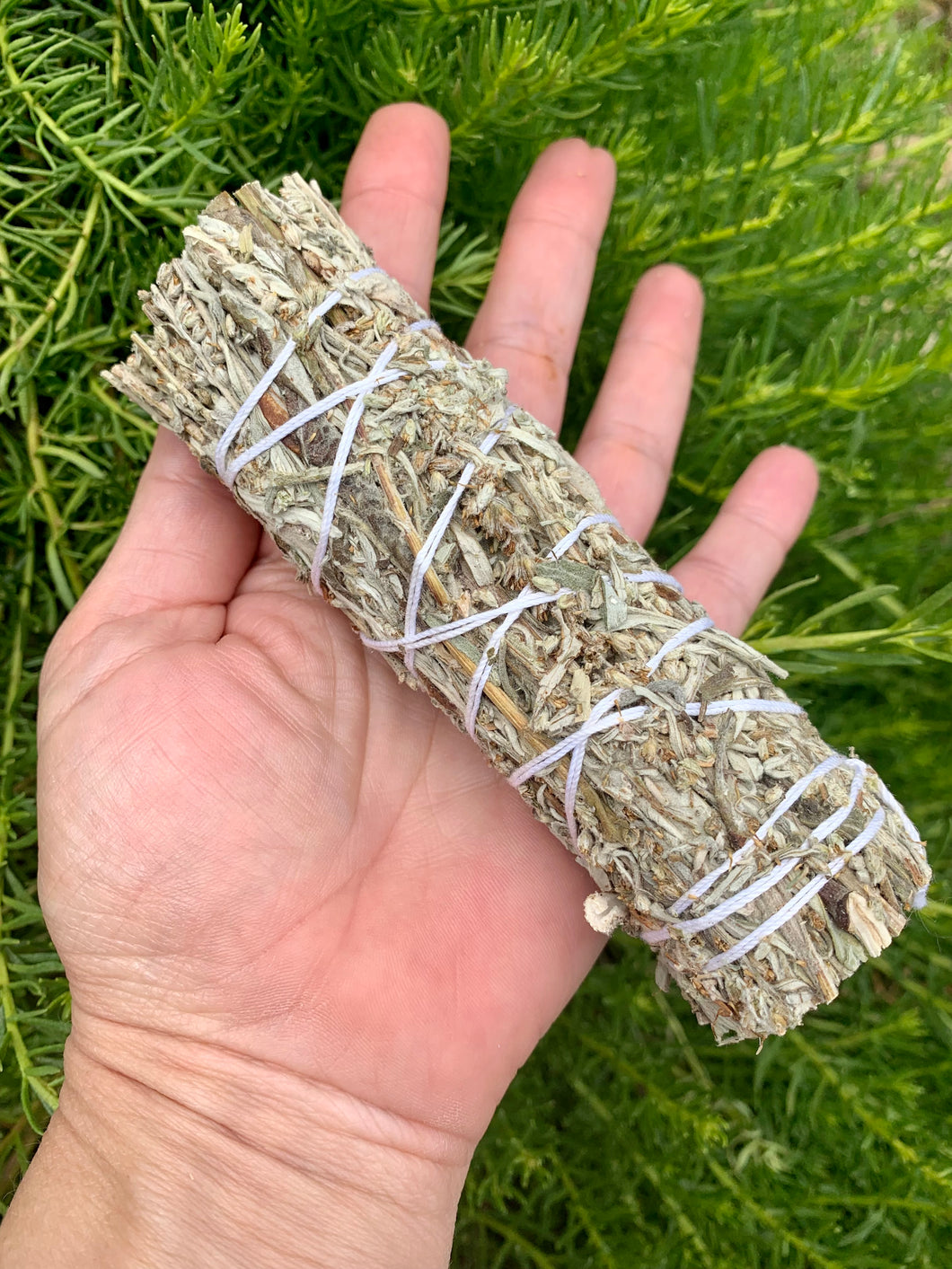 Mugwort Black Sage Smudge Stick