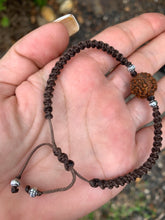 Load image into Gallery viewer, Rudraksha String Bracelet.
