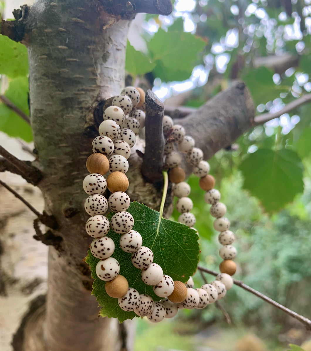 Lotus seed With Sandalwood Bead Bracelet.